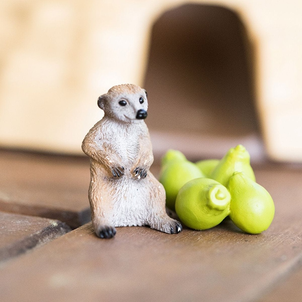 Schleich orders meerkat