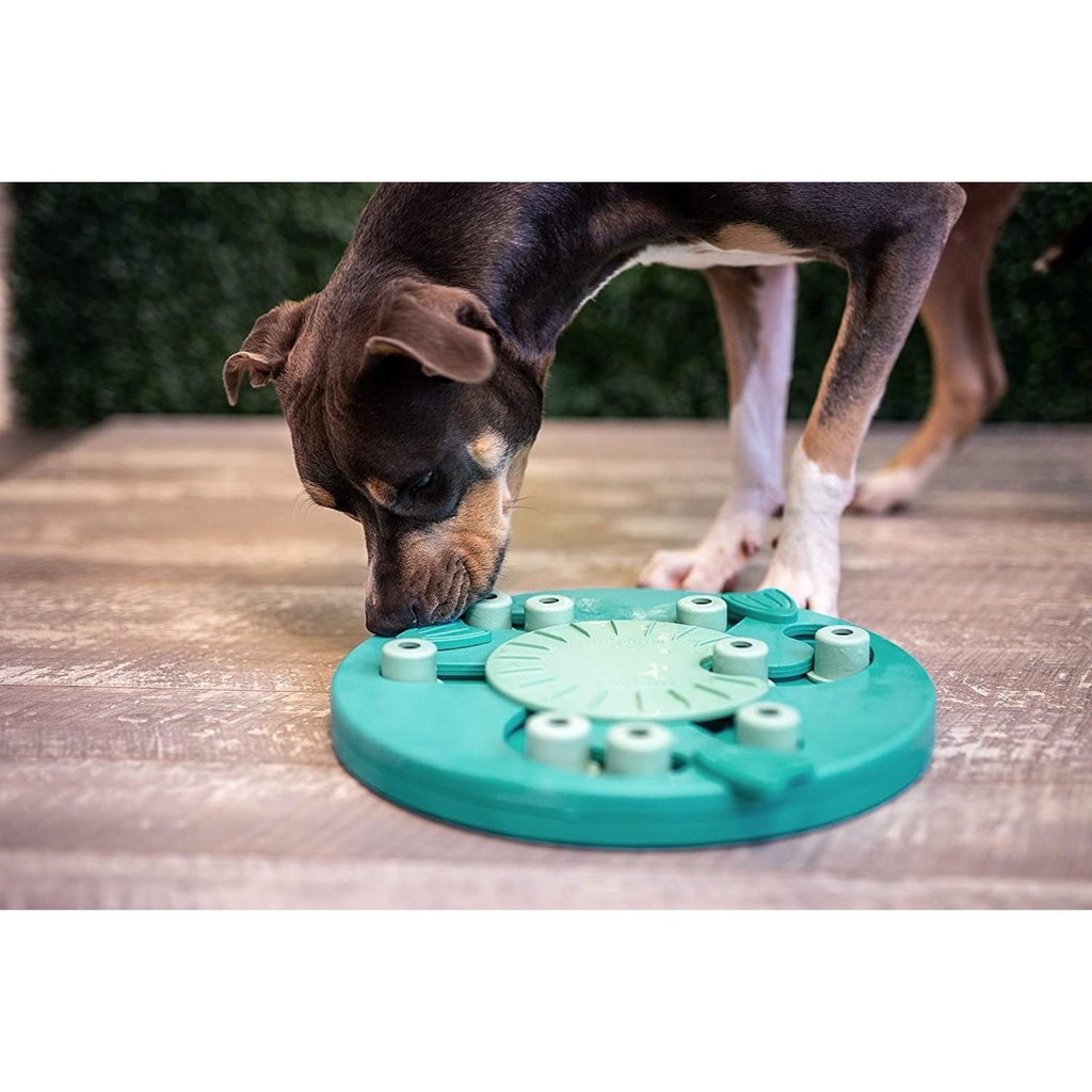 Nina Ottosson Multipuzzle Treat Dispensing Dog Toy