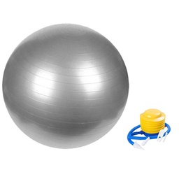 Verpeak Yoga Ball 65cm (Silver)