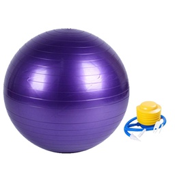 Verpeak Yoga Ball 65cm (Purple)