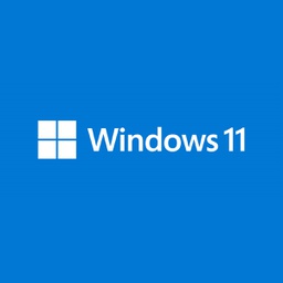 Microsoft Windows 11 Pro 64Bit Eng OEI FQC-10528