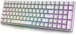 Royal Kludge RK100 100 Keys Tri Mode Wired/Wireless Bluetooth RGB Hot Swappable Mechanical Gaming Keyboard White (Blue Switch)