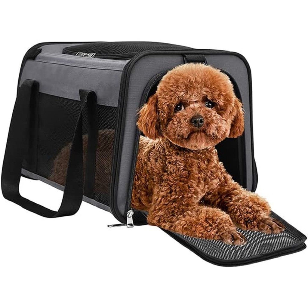 12 Best Cat Carriers 2023